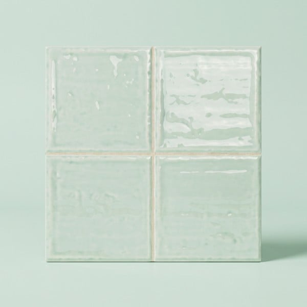 Boston Fern 20x20 PRECORTADO (10x10)